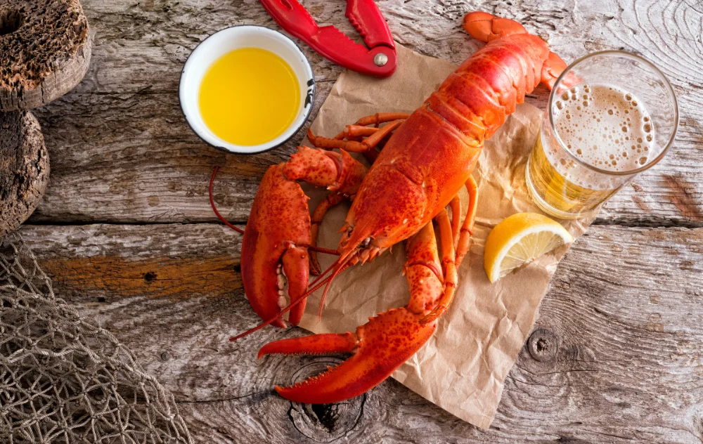 Nova Scotia Lobster